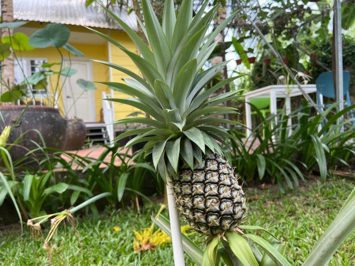 Tropical Garden Phu Quoc Apartment Exterior photo