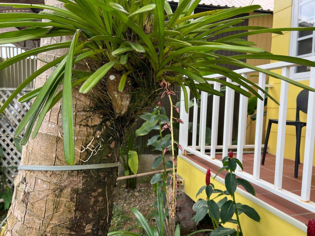 Tropical Garden Phu Quoc Apartment Exterior photo